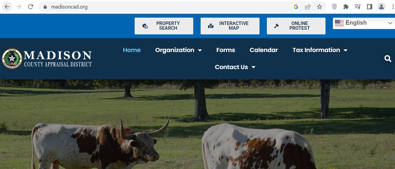 Official Madison County CAD website screenshot showing Property Search, Interactive Map and Online Protest buttons